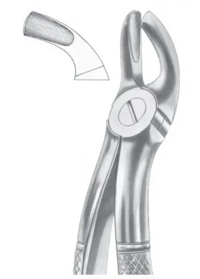 Fig. 19 upper third molars 